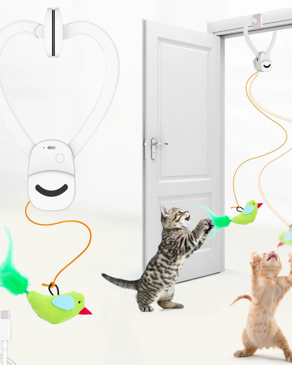 PurrMotion